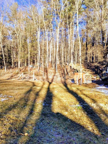 00110-fall-afternoon-shadows-2019-scaled