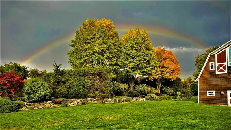 00193-Rainbow-over-Husky-Meadows-Farm-2