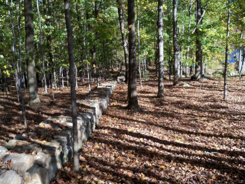 00204-Stone-walls-and-trees-at-Autumn-Harvest-Orchard