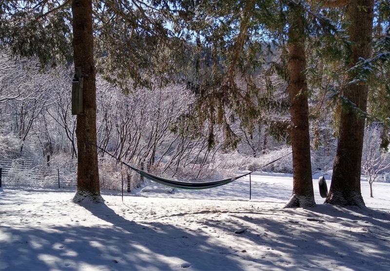 00213-winter-2020-hammock-ashpohtag-ave